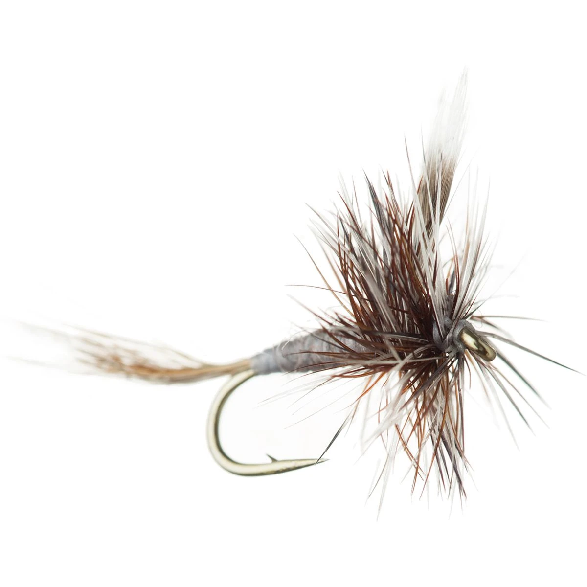 Adam's - 12-Pack 1 Adam's - 12-Pack