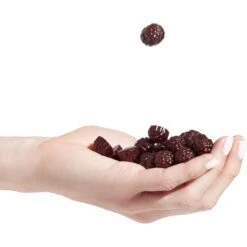 Chill Chews -Simms Sport Equipment Shop BLA D3 12